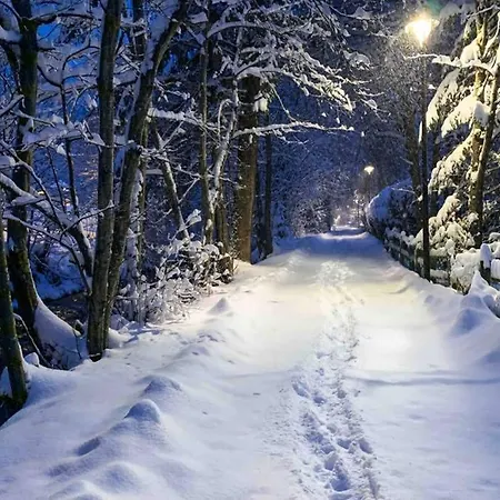 アパート Chinook,la Praz,chamonix Mont Blanc シャモニー