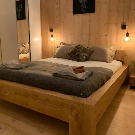 Chinook,la Praz,chamonix Mont Blanc アパート