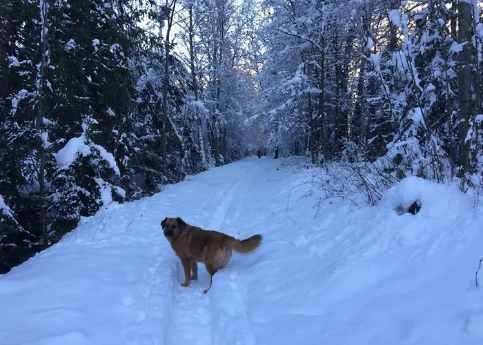 Chinook,la Praz,chamonix Mont Blanc Chamonix