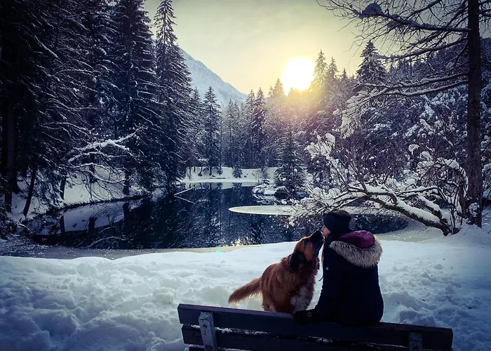 Chinook,la Praz,chamonix Mont Blanc *