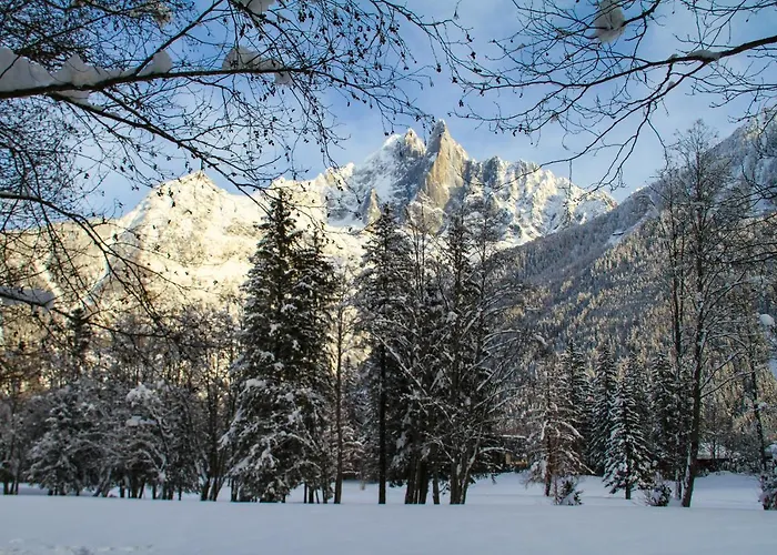 Chinook,la Praz,chamonix Mont Blanc * Chamonix