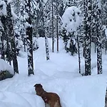 Chinook,la Praz,chamonix Mont Blanc Apartment