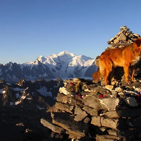 Apartment Chinook,la Praz,chamonix Mont Blanc Chamonix