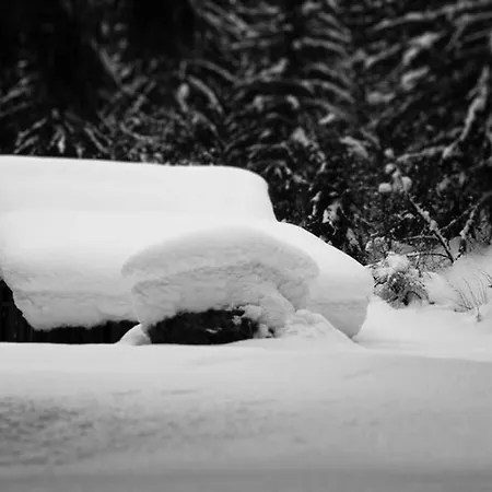 Chinook,la Praz,chamonix Mont Blanc Chamonix
