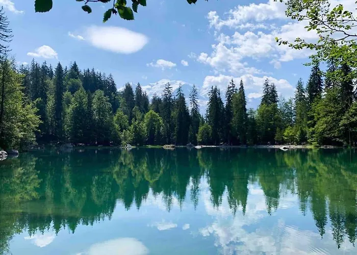 Chinook,la Praz,chamonix Mont Blanc Apartment *