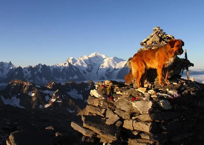 Apartment Chinook,la Praz,chamonix Mont Blanc Chamonix