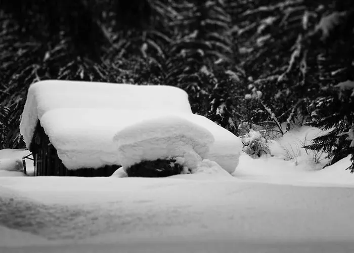 Chinook,la Praz,chamonix Mont Blanc Chamonix