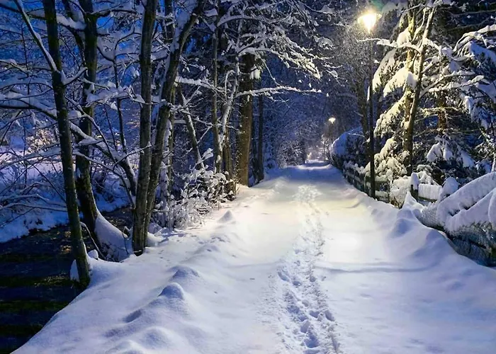 Apartment Chinook,la Praz,chamonix Mont Blanc Chamonix