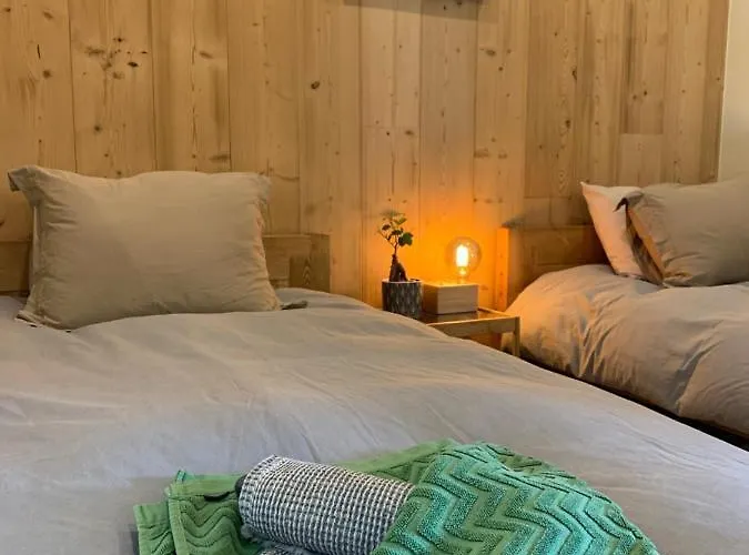 Chinook,la Praz,chamonix Mont Blanc *