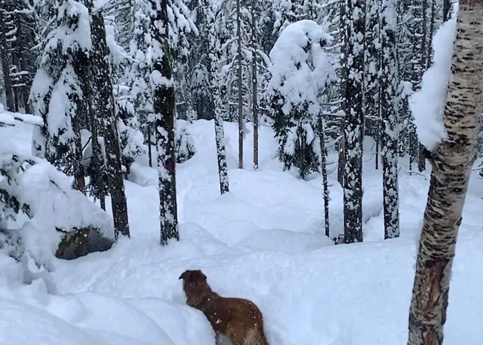 Chinook,la Praz,chamonix Mont Blanc Apartment
