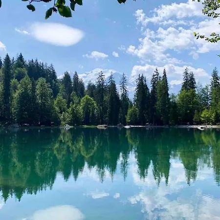 Chinook,la Praz,chamonix Mont Blanc Appartamento *