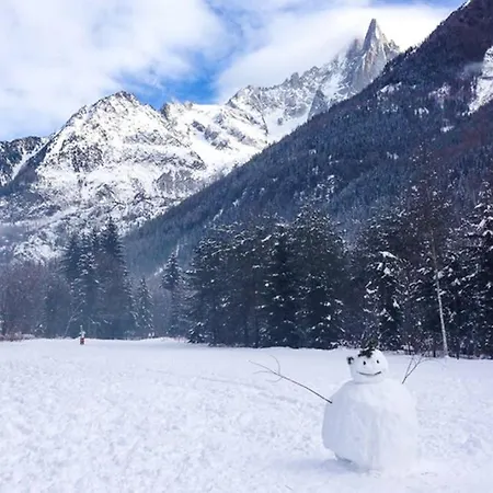 Chinook,la Praz,chamonix Mont Blanc Chamonix