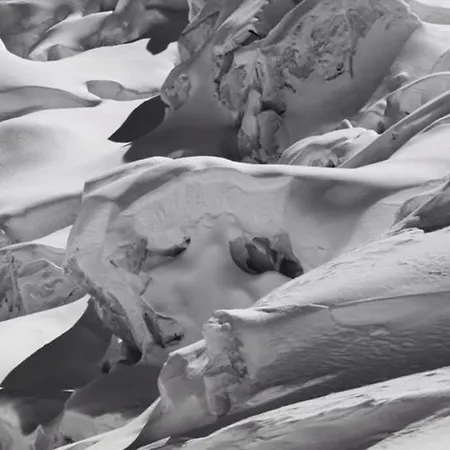 Chinook,la Praz,chamonix Mont Blanc *