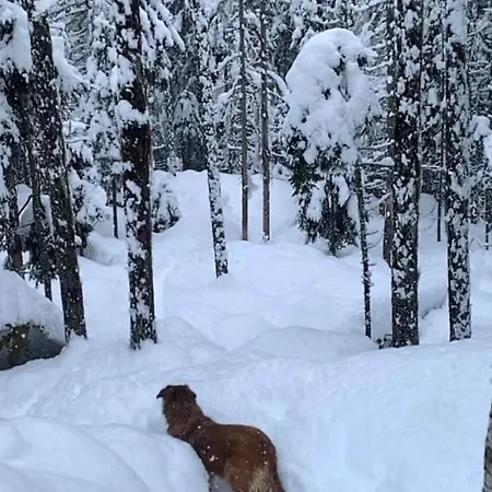 Chinook,la Praz,chamonix Mont Blanc Appartamento