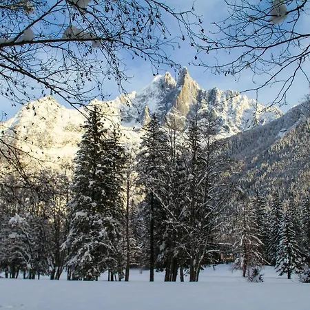 Chinook,la Praz,chamonix Mont Blanc * Chamonix