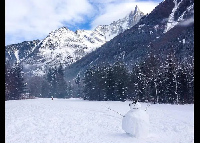 Chinook,la Praz,chamonix Mont Blanc Chamonix Mont Blanc
